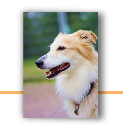 Kadrowanie odbitek - idealne dopasowanie